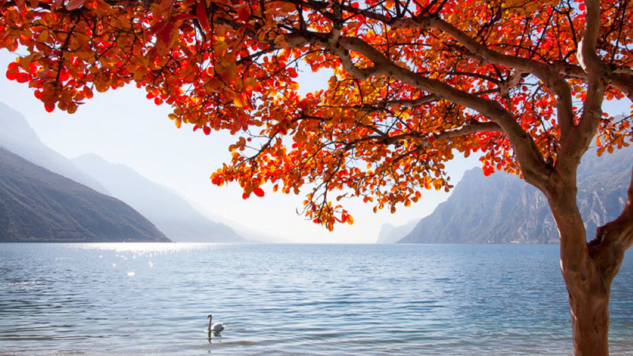 Five good reasons for an autumn family holiday on Lake Garda